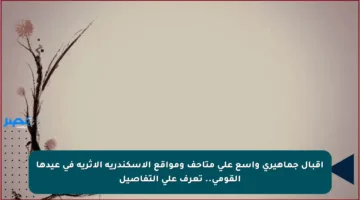 إقبال جماهيري واسع على متاحف ومواقع الإسكندرية الأثرية في عيدها القومي.. تعرف على التفاصيل
